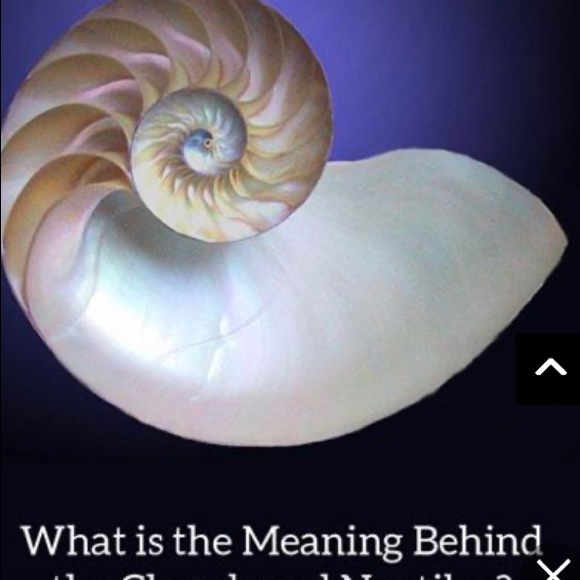 LUCKY YOU NECKLACE SILVER - Picture 3 of 8